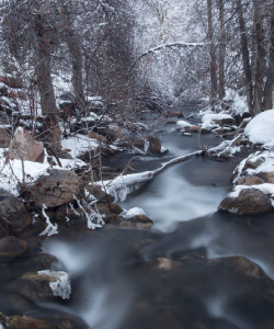 冬～Winterの画像1